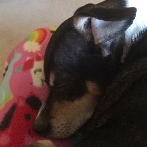 Meet your Posher, Lesley